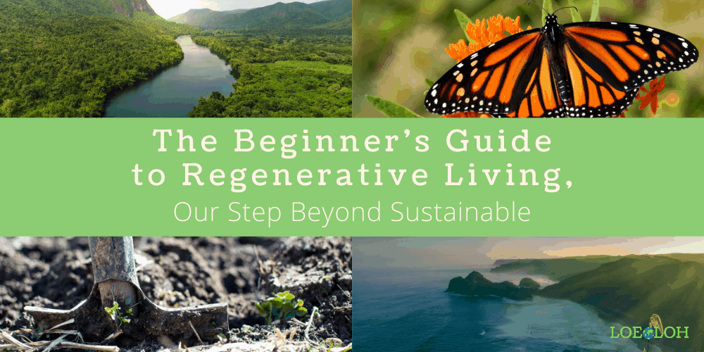 Regenerative Living Guide Beyond Sustainable