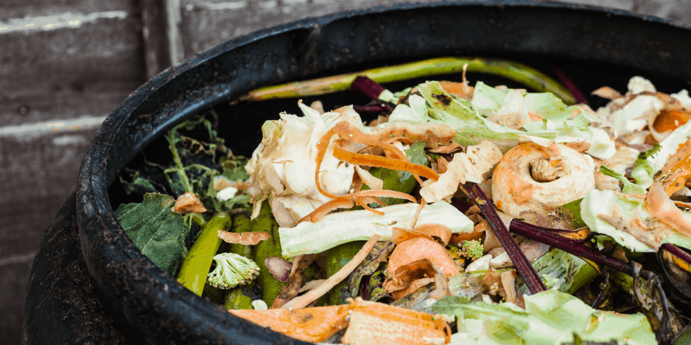 Composting Essentials Climate Change Regenerative Living