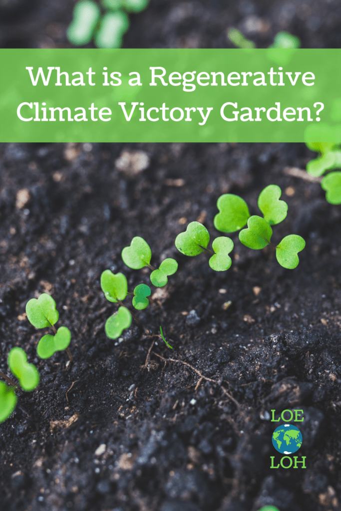 Regenerative Garden Fight Climate Change