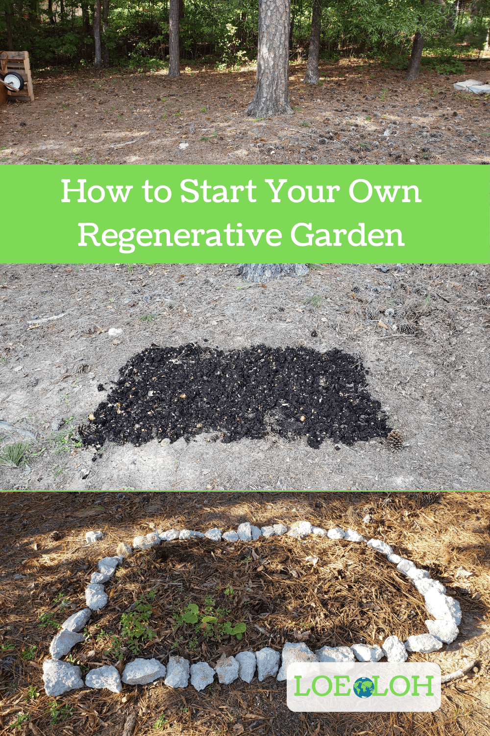 Start A Regenerative Garden In 5 Steps Love Our Earth Love Our Home Start A Regenerative Garden In 5 Steps Love Our Earth Love Our Home